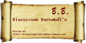 Blazsicsek Barnabás névjegykártya